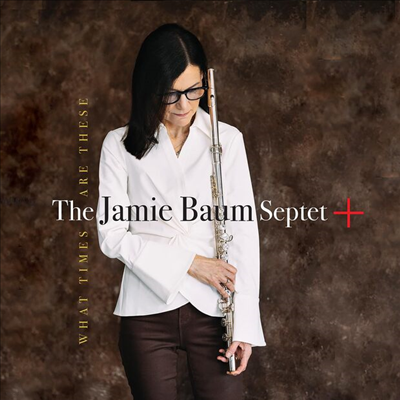Jamie Baum - What Times Are These (CD)