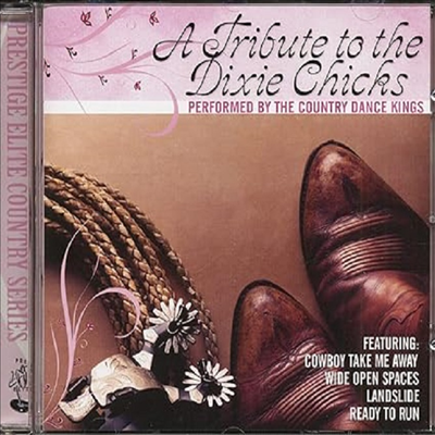 Country Dance Kings - A Tribute To The Dixie Chicks (CD)