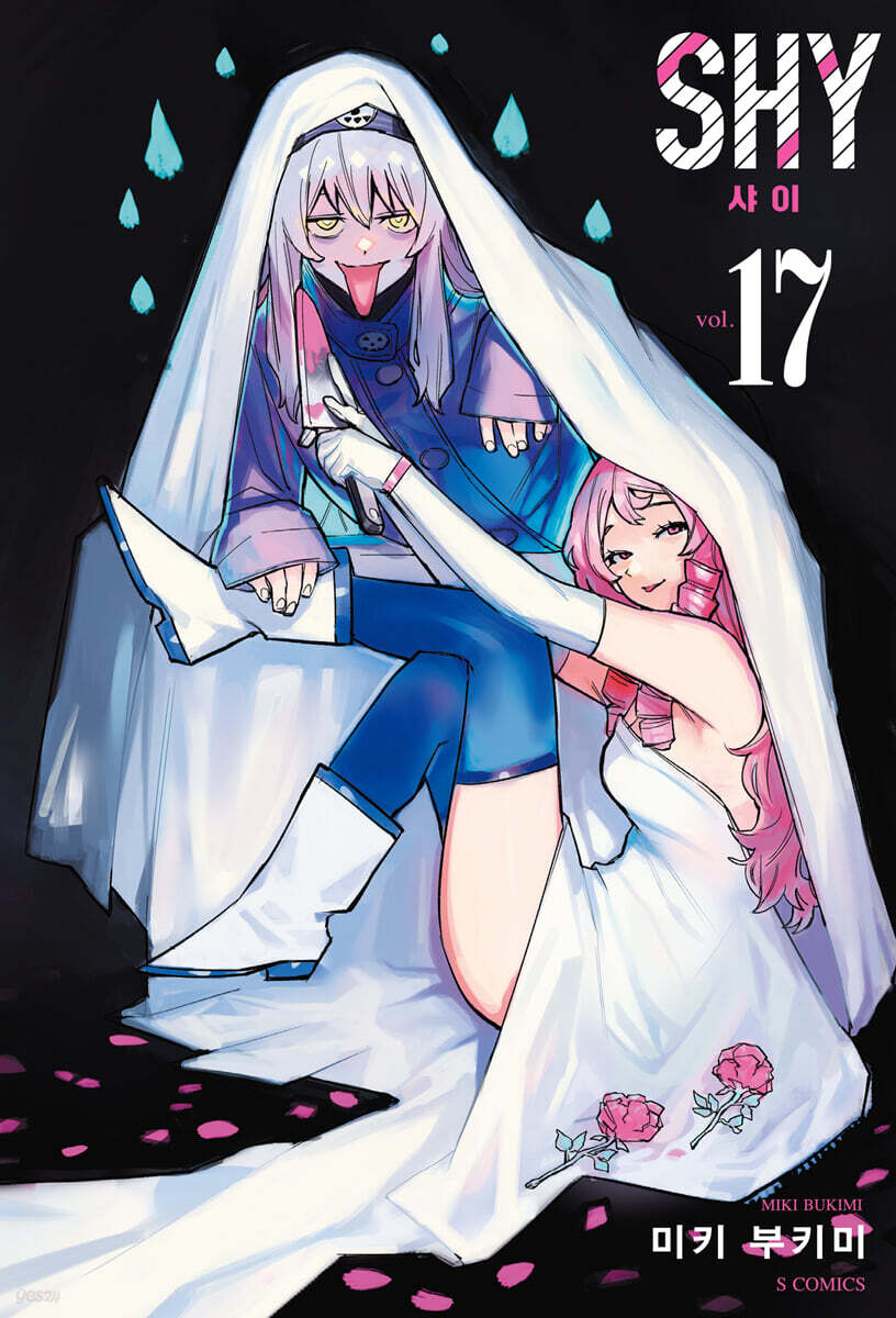 SHY 17