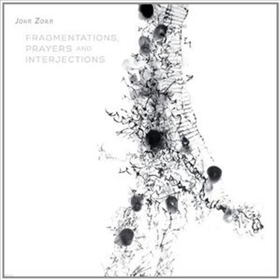 Zorn: Fragmentations Prayers & Inter (CD) - Bill Frisell