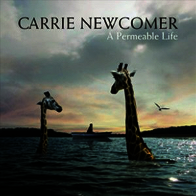Carrie Newcomer — Permeable Life 앨범 커버