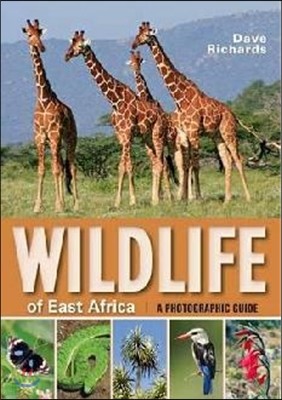 Wildlife of East Africa