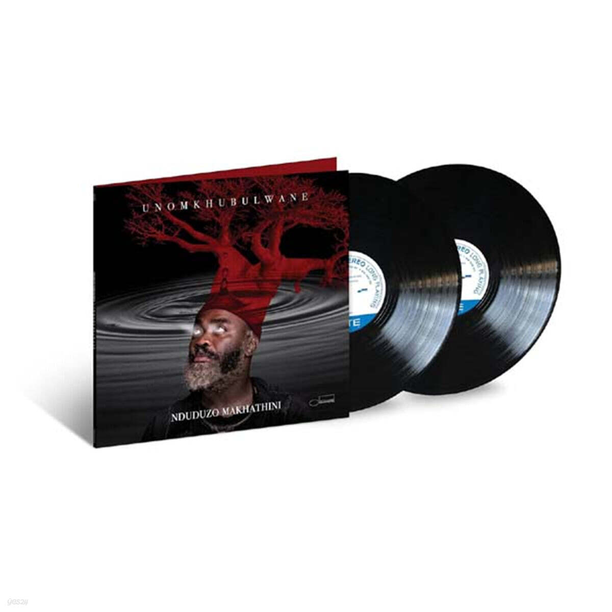 Nduduzo Makhathini (은두두조 마카티니) - uNomkhubulwane [2LP]