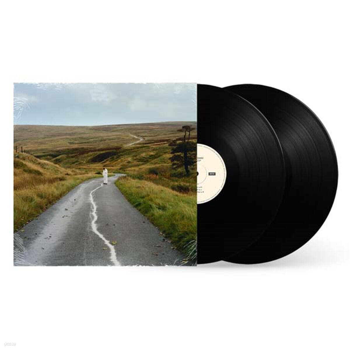 Jordan Rakei (조단 라케이) - The Loop [2LP]