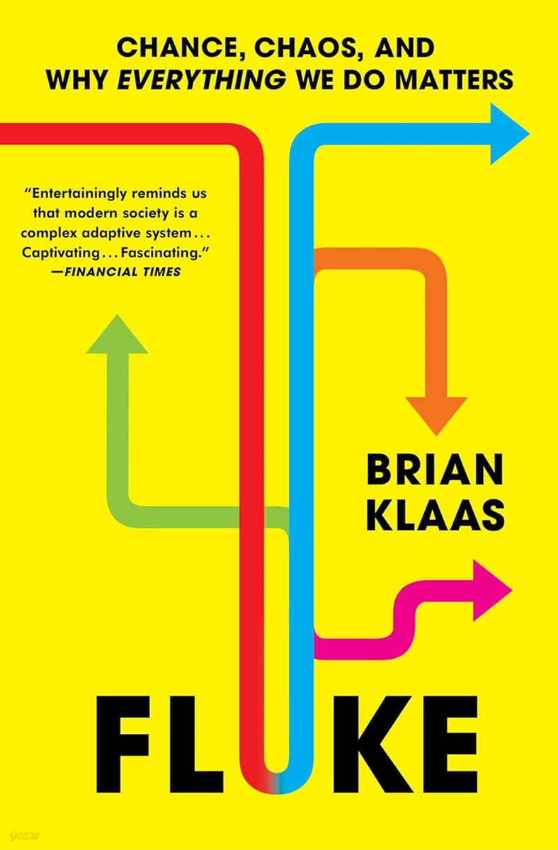 Fluke: Chance, Chaos, and Why Everything We Do Matters