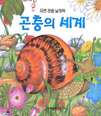 곤충의 세계