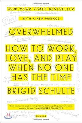 Overwhelmed: How to Work, Love, and Play When No One Has the Time