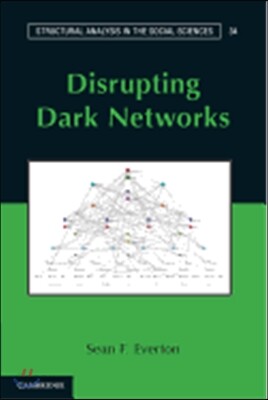 Disrupting Dark Networks