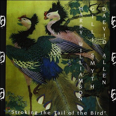 David Allen & Gilli Smyth — Stroking The Tail Of The Bird (Deluxe Edition) 앨범 커버