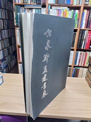 松泉鄭夏建書集 송천정하건서집 (2004 초판)