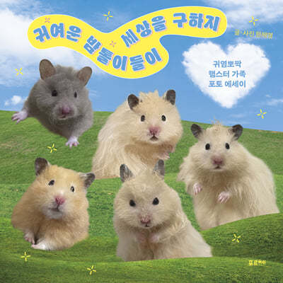 책 정보