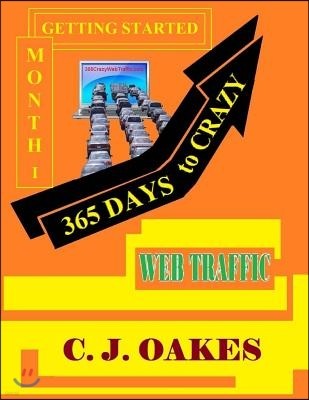 365 Days to Crazy Web Traffic