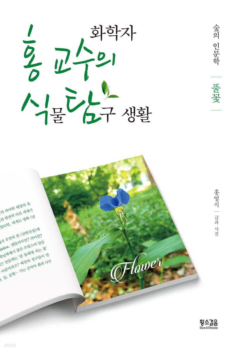 화학자 홍 교수의 식물 탐구 생활 : 풀꽃
