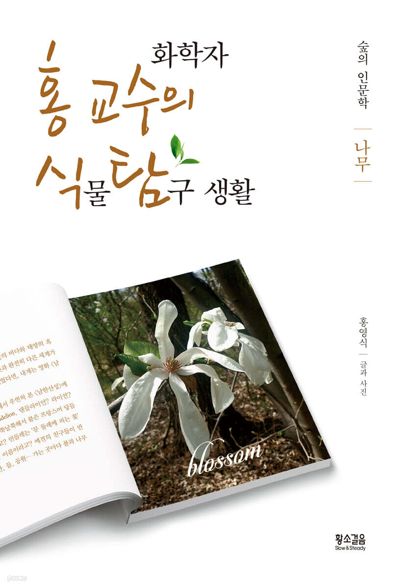 화학자 홍 교수의 식물 탐구 생활 : 나무