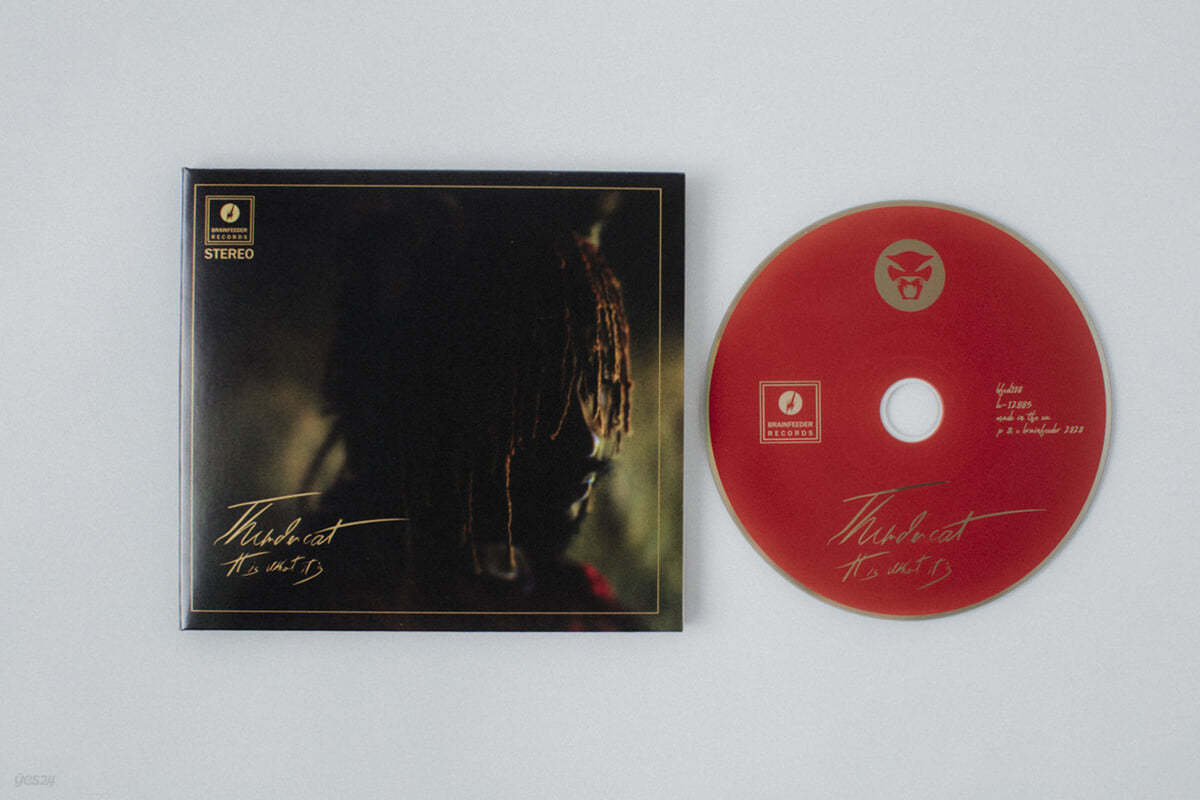 Thundercat (썬더캣) - It Is What It Is
