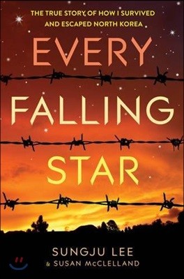 Every Falling Star