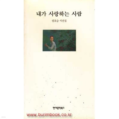 2001년판 정호승시선집 내가 사랑하는 사람