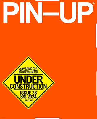 Pin-Up (ݳⰣ) : 2024, No.35