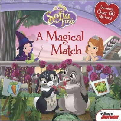 Sofia the First : A Magical Match