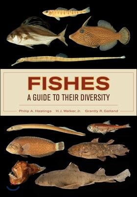 Fishes: A Guide to Their Diversity