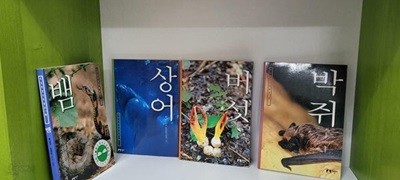 지성자연사박물관 시리즈 4권(버섯,뱀,상어,박쥐)