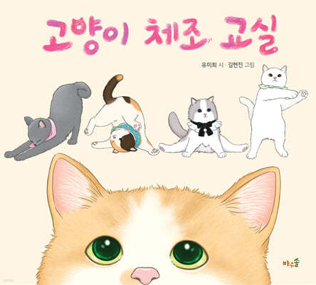 고양이 체조 교실(빅북 )