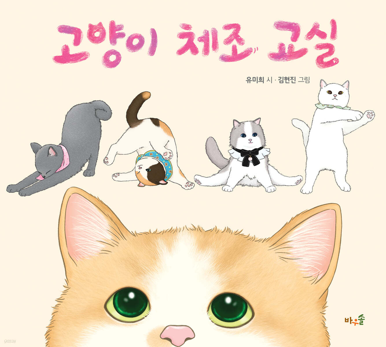 고양이 체조 교실(빅북 )