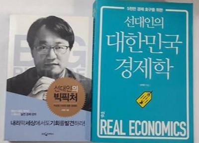 선대인의 대한민국 경제학 + 선대인의 빅픽처 /(두권/하단참조)