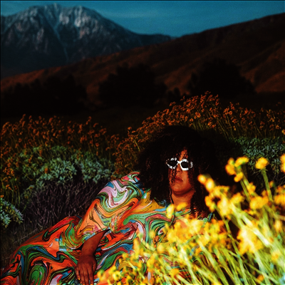Brittany Howard - What Now (CD)