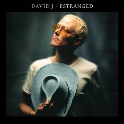 David J - Estranged (Reissue)(Ltd)(Blue Colored 2LP)