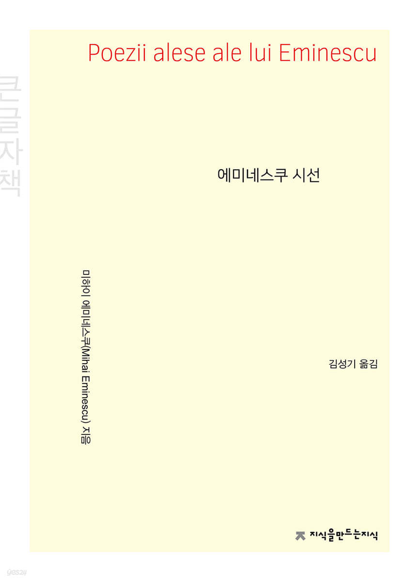 에미네스쿠 시선 (큰글자책)