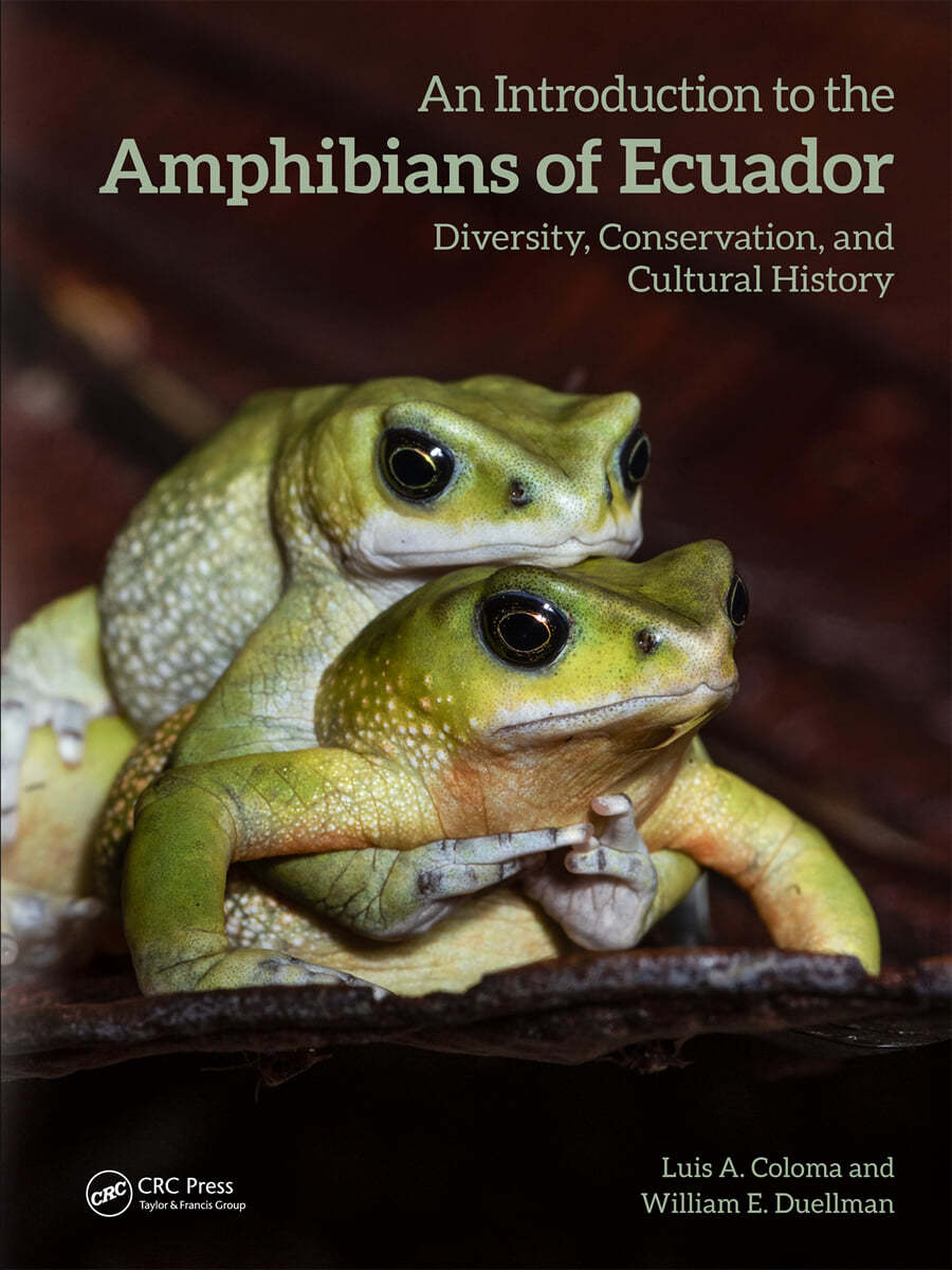 Introduction to the Amphibians of Ecuador