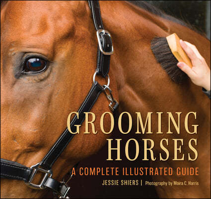 Grooming Horses: A Complete Illustrated Guide