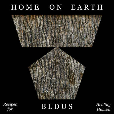 Home on Earth: Recipes for Healthy Housing