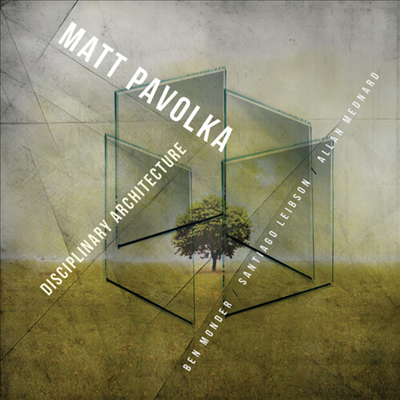 Matt Pavolka - Disciplinary Architecture (CD)