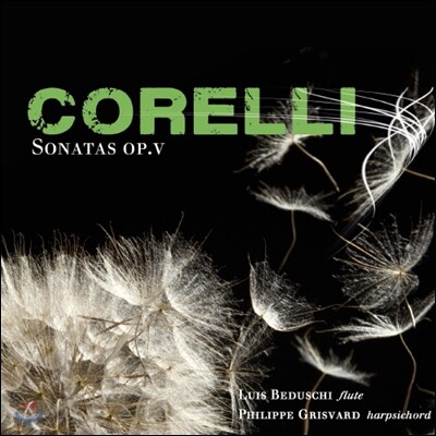 Luis Bedusche 코렐리: 바이올린 소나타 [리코더 편곡 연주 버전] (Corelli: Sonata for Flute and Harpsichord Op.5)