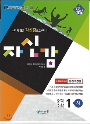 절대공감 자신감 중학수학 1-하 (2014년)