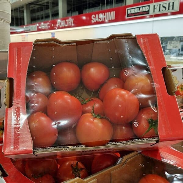 코스트코 토마토 4kg
