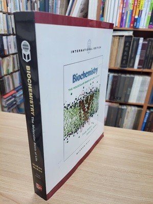 BIOCHEMISTRY: THE MOLECULAR BASIS OF LIFE (International Edition, Paperback)