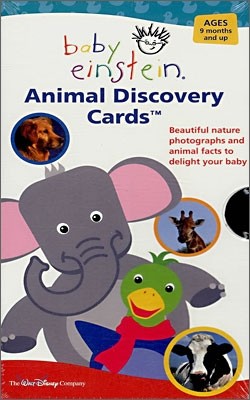 Animal Discovery Cards, Beautiful Nature Photographs and Animal Facts to Delight Your Tots