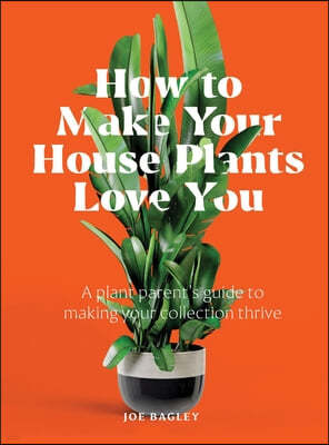 How to Make Your Houseplants Love You