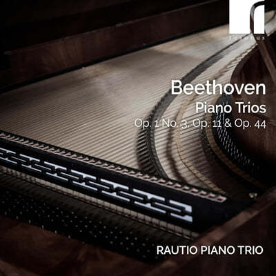 The Rautio Piano Trio 베토벤: 피아노 삼중주 3번, 4번 ‘가센하우어’, 주제와 변주 (Beethoven: Piano Trios Op.1 No.3, Op.11 & Op.44)