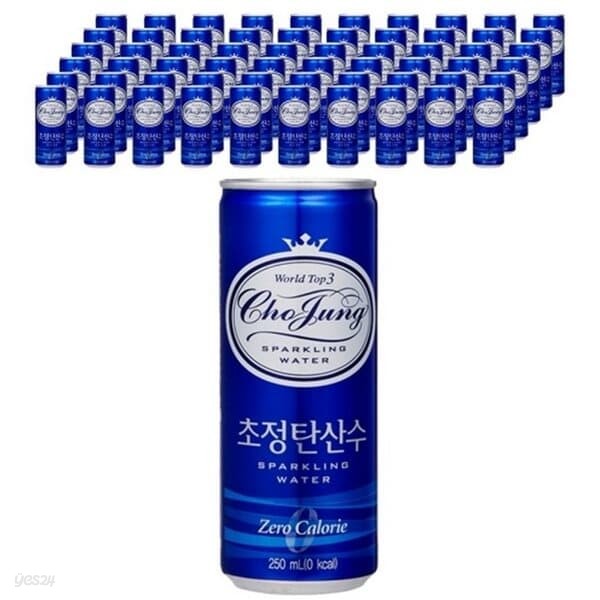 초정탄산수 250ml/30캔x2박스/무료배송