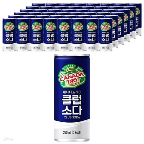 캐나다드라이 클럽소다 250ml/30캔x2박스/무료배송