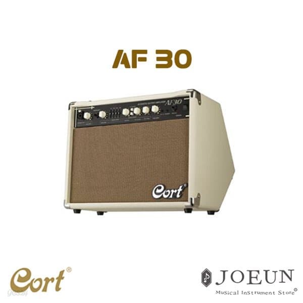 [콜트] CORT AF30 / 기타 앰프 / 소형 공연장 사용 가능