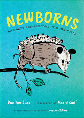 Newborns: How Baby Animals Come Into the World