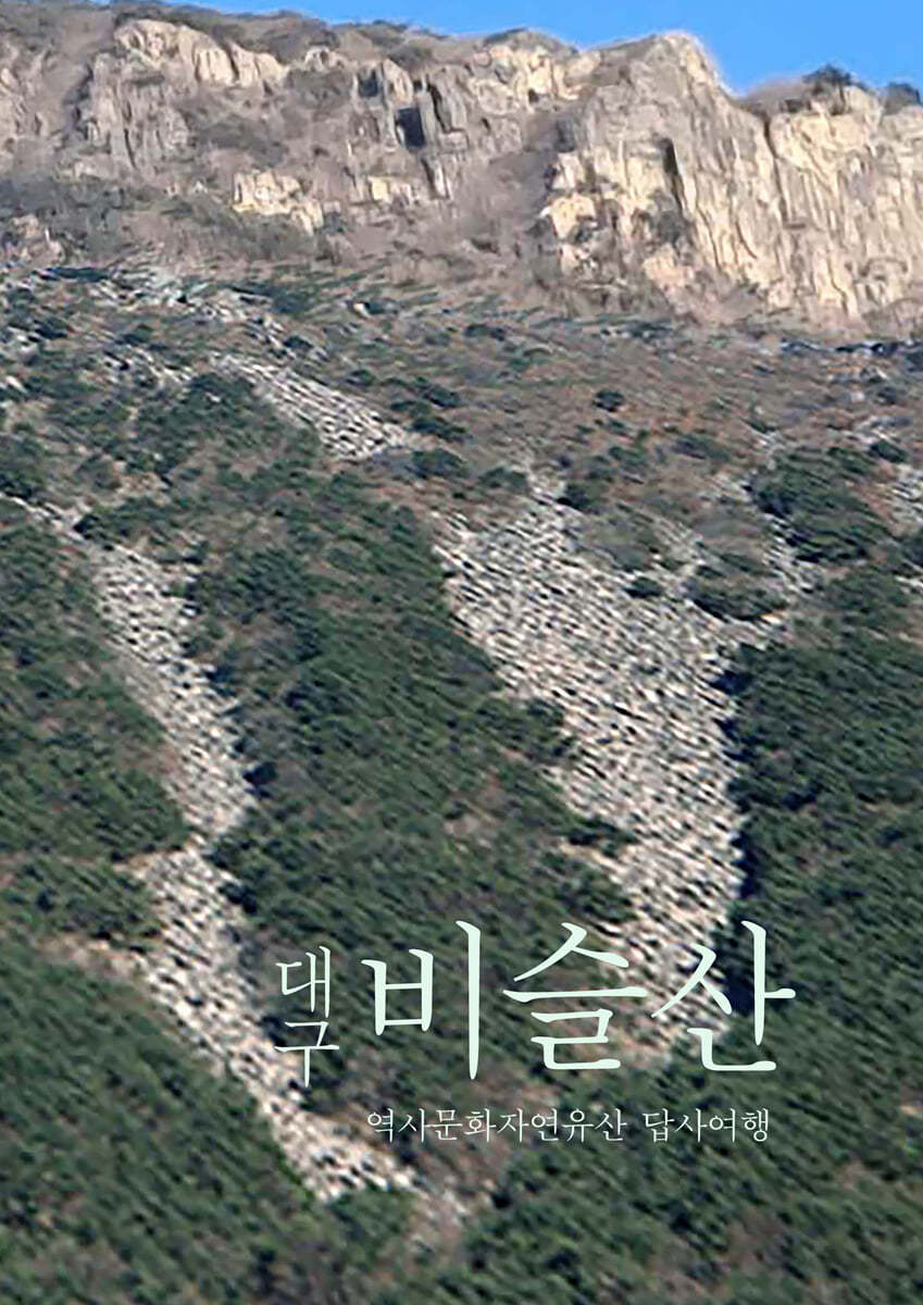 대구 비슬산