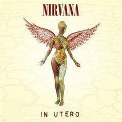 Nirvana (너바나) — 3집 In Utero 앨범 커버
