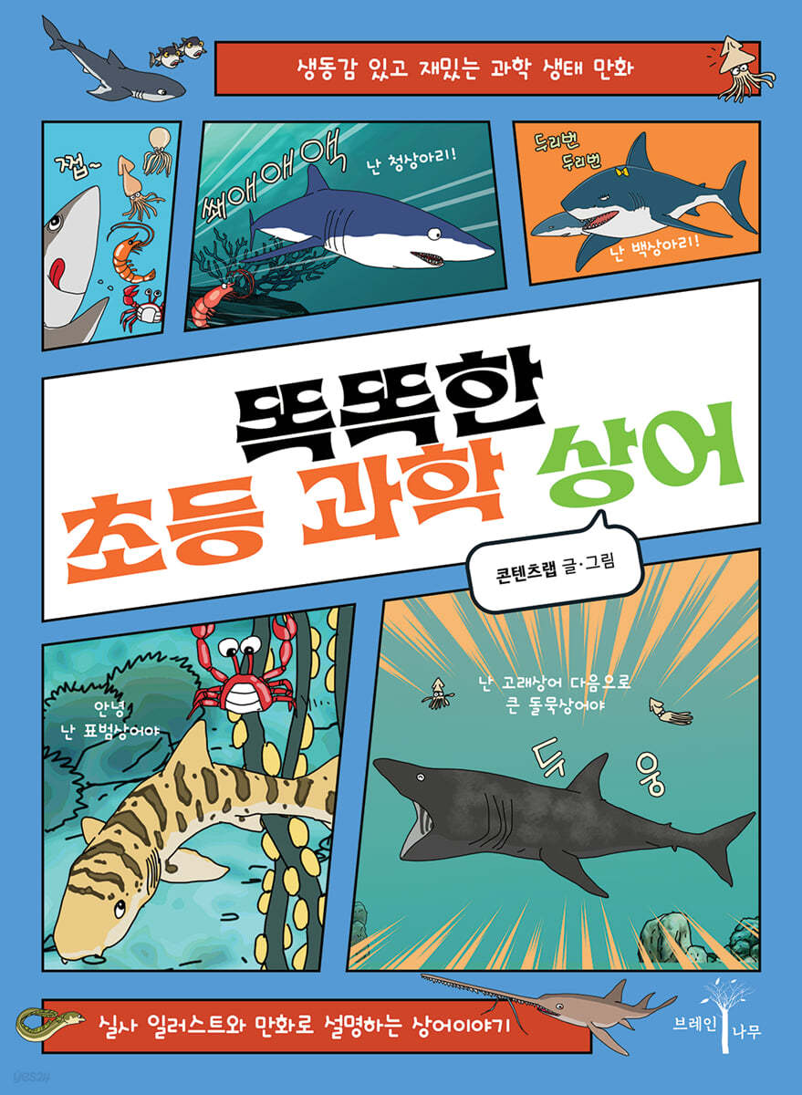 똑똑한 초등 과학 상어 1
