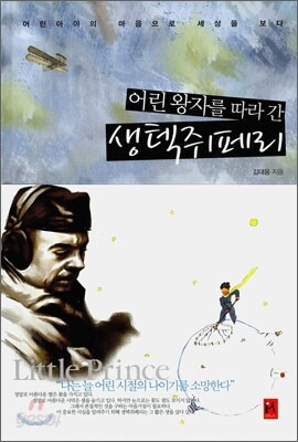 어린 왕자를 따라간 생텍쥐페리